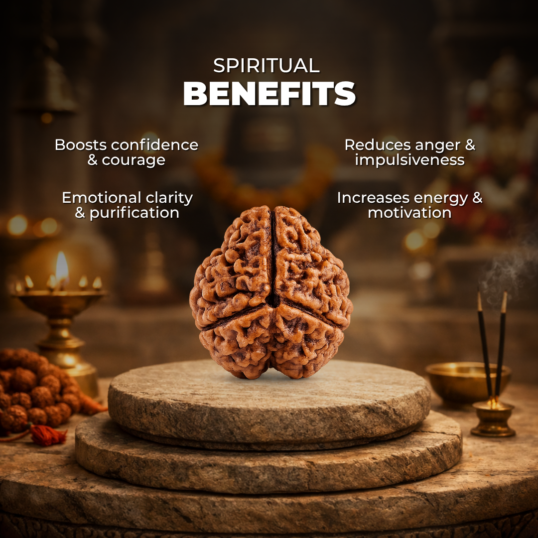 3 Mukhi Lab Tested Certified Rudraksha