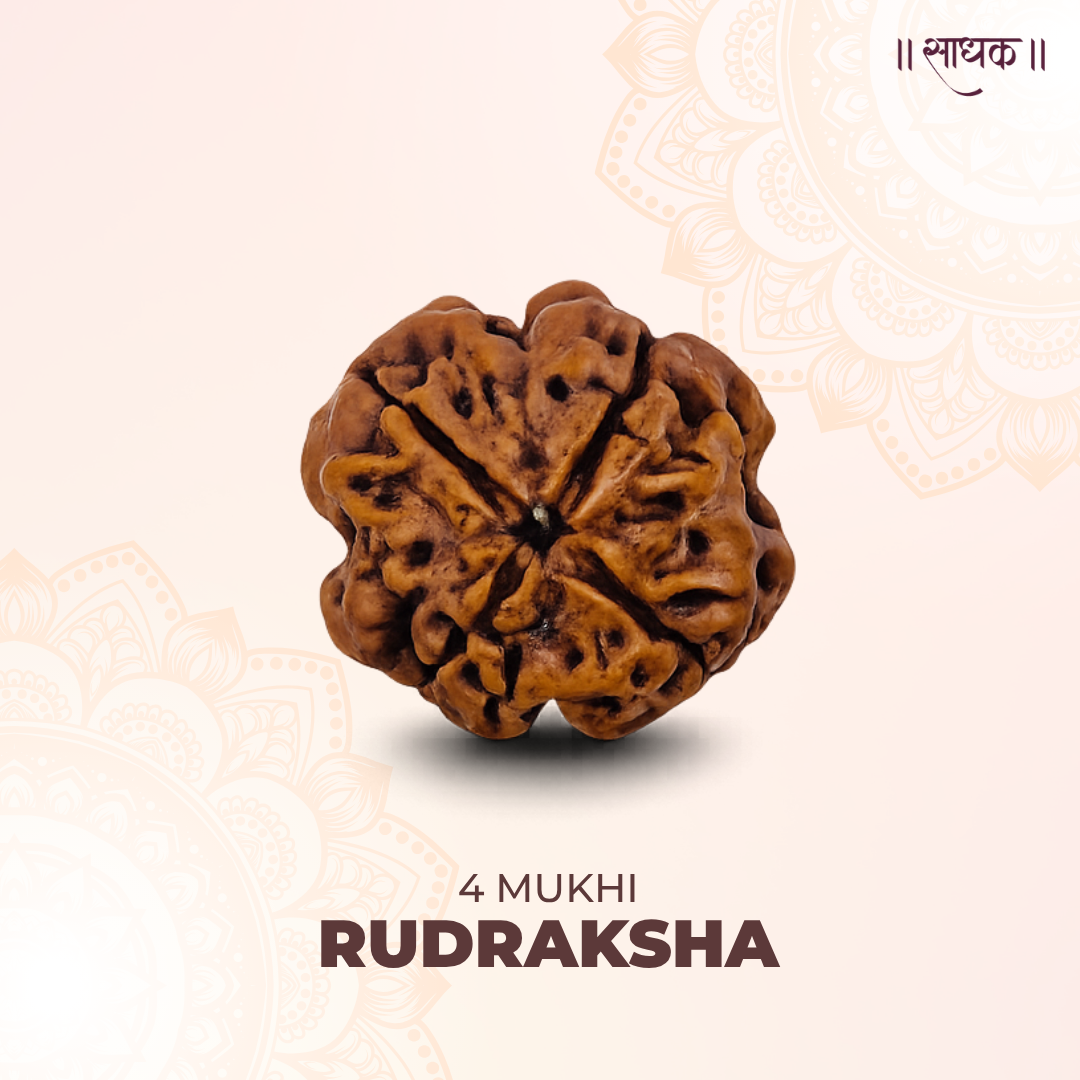 4 Mukhi Lab Tested Certified Rudraksha