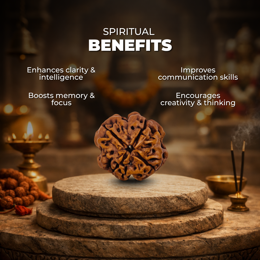 4 Mukhi Lab Tested Certified Rudraksha