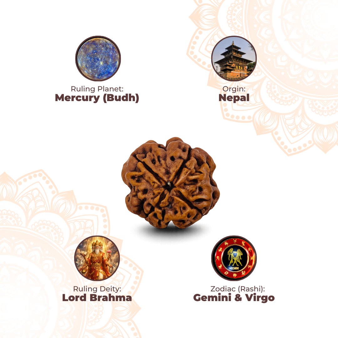 4 Mukhi Lab Tested Certified Rudraksha