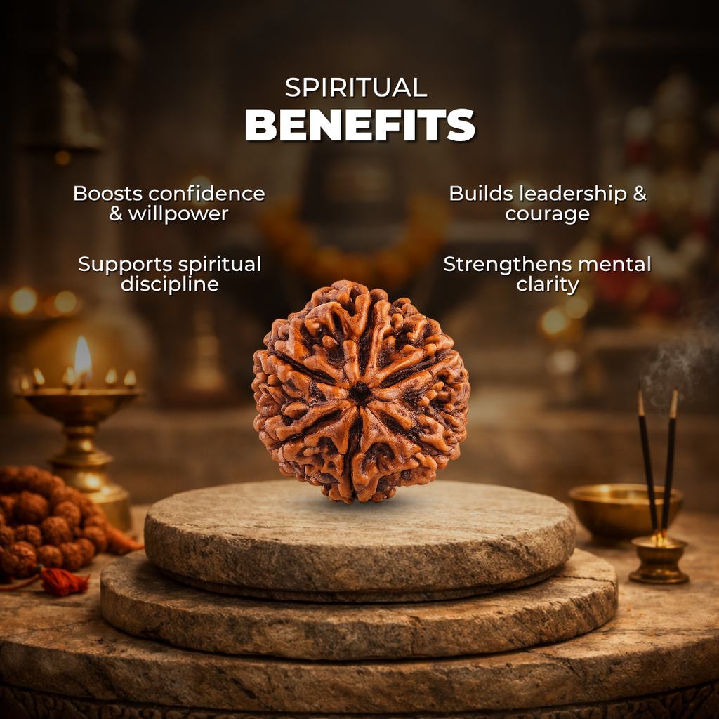 6 Mukhi Lab Tested Certified Rudraksha