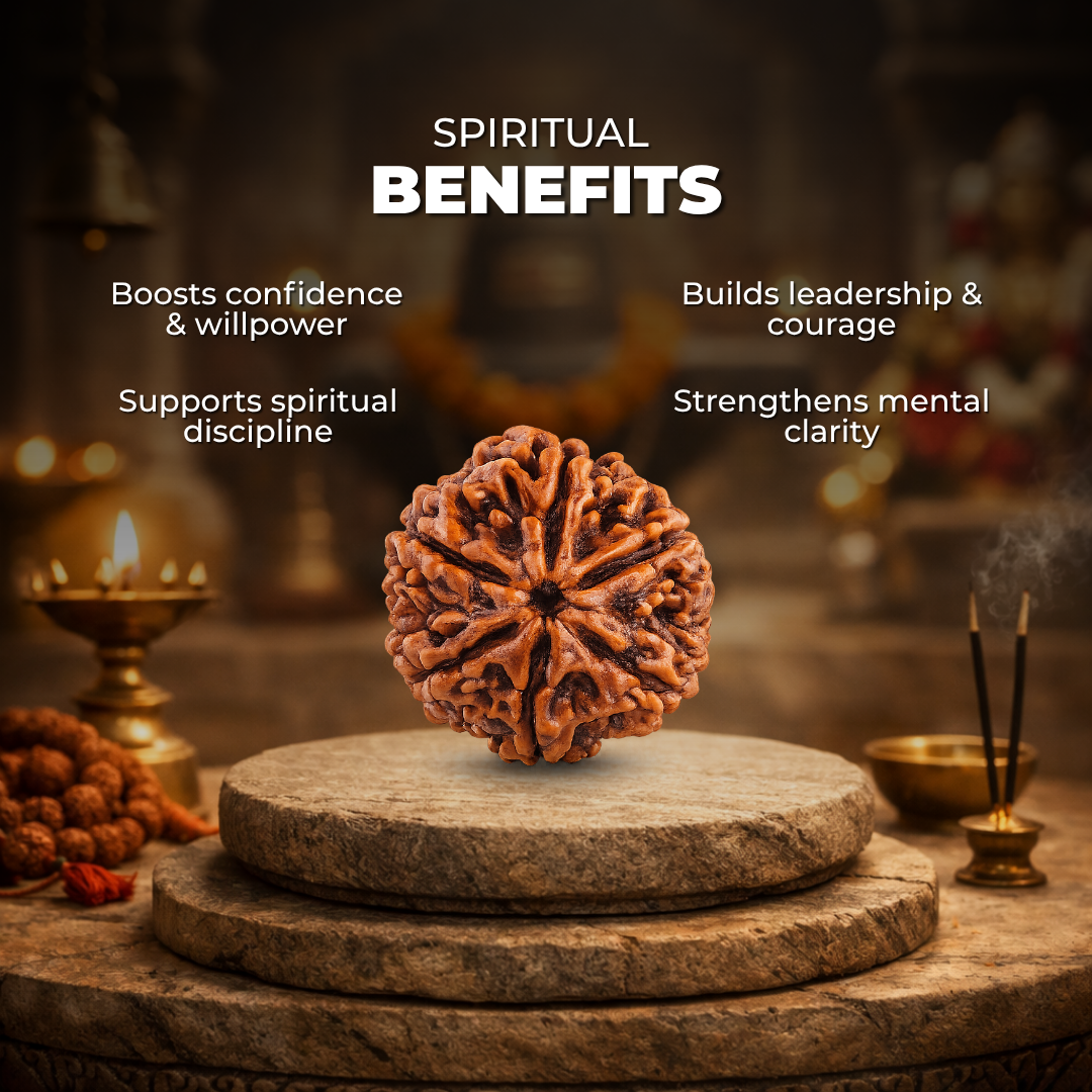 6 Mukhi Lab Tested Certified Rudraksha
