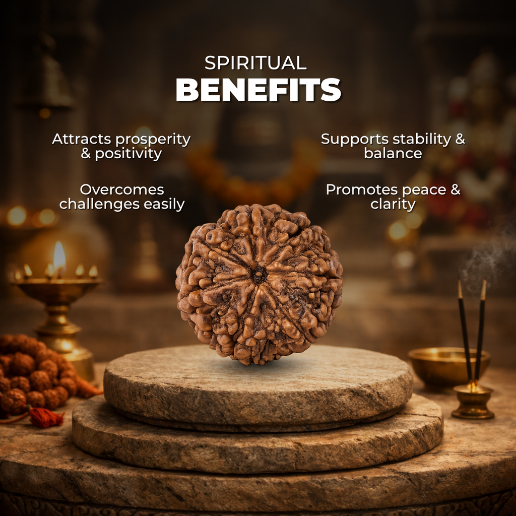 7 Mukhi Lab Tested Certified Rudraksha