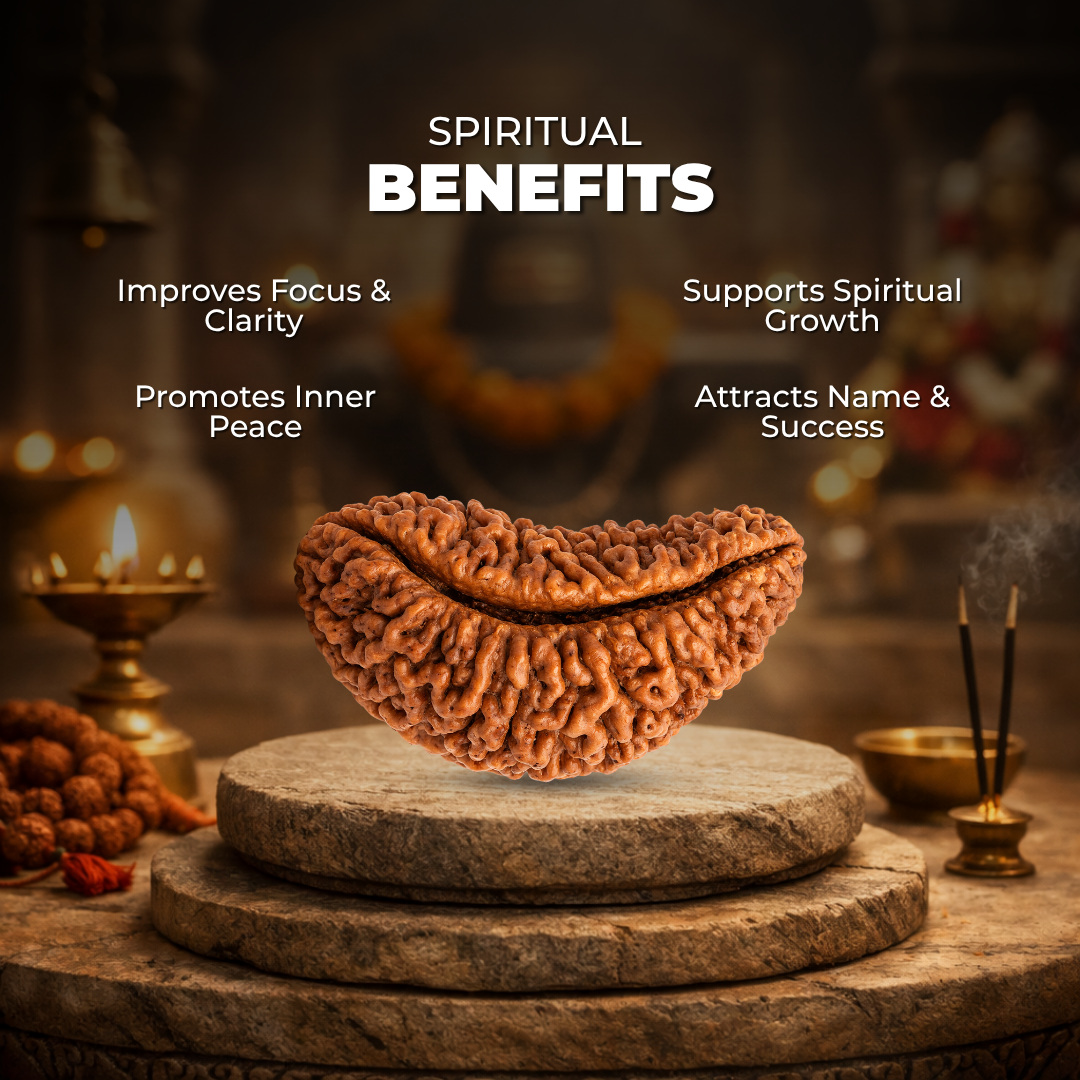1 Mukhi Lab Tested Certified Rudraksha