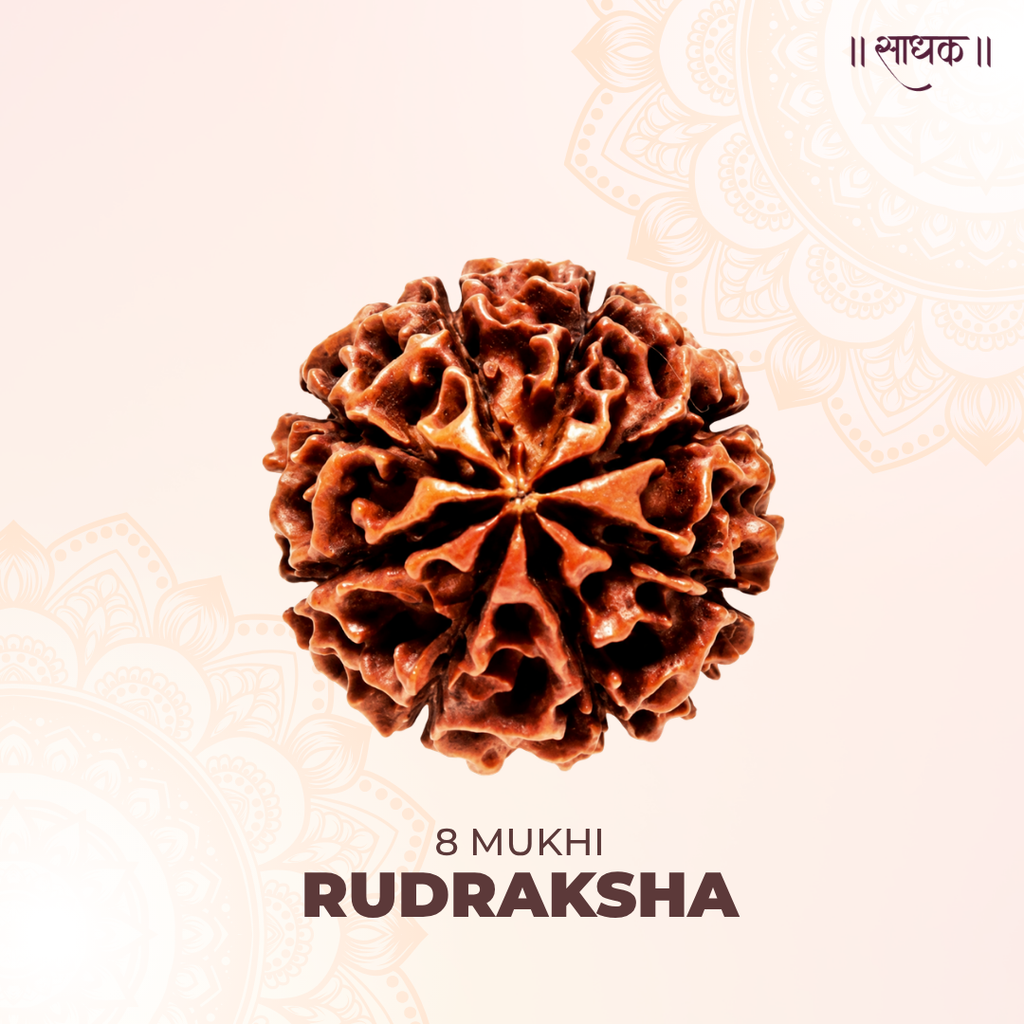 8 Mukhi Lab Tested Certified Rudraksha