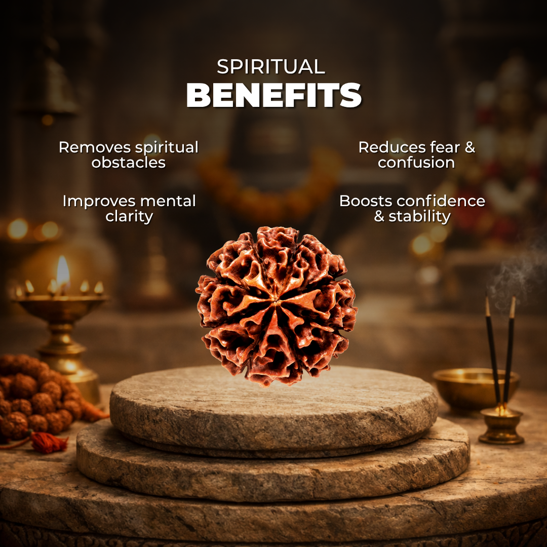 8 Mukhi Lab Tested Certified Rudraksha
