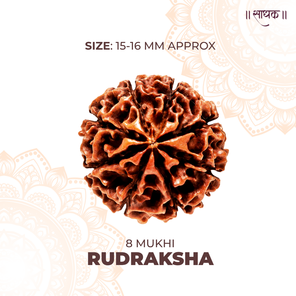 8 Mukhi Lab Tested Certified Rudraksha