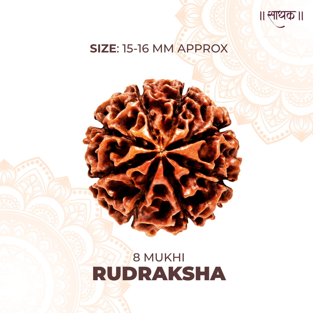8 Mukhi Lab Tested Certified Rudraksha