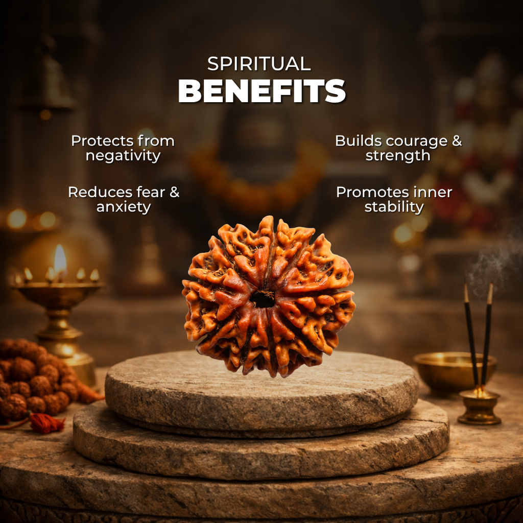 9 Mukhi Lab Tested Certified Rudraksha