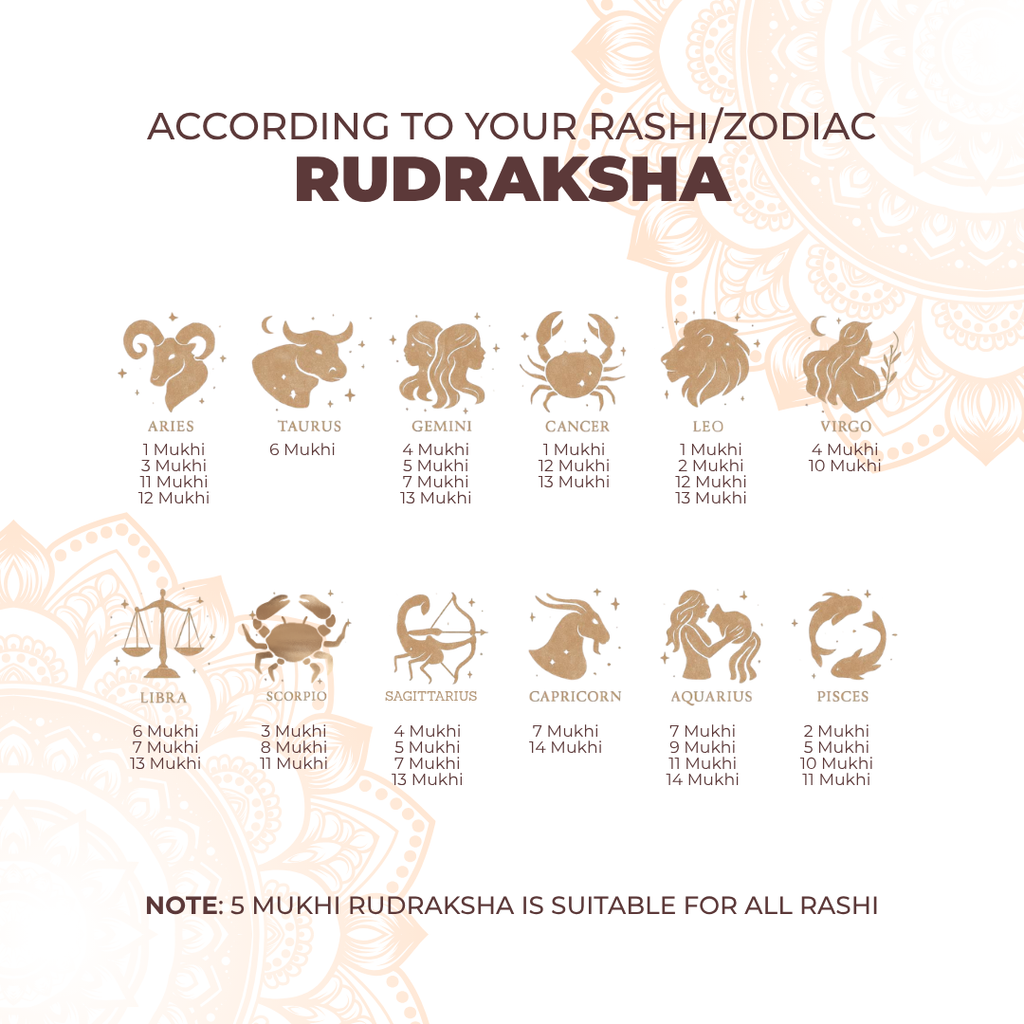 1 Mukhi Lab Tested Certified Rudraksha
