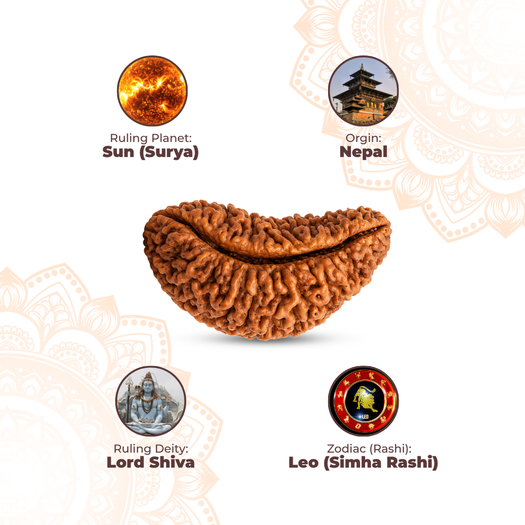 1 Mukhi Lab Tested Certified Rudraksha
